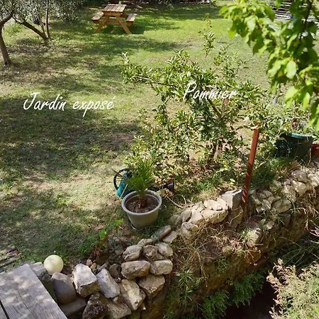 Guest house Maison D'hotes Le Galamus 3*