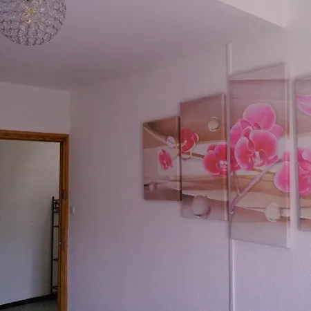 Maison D'hotes Le Galamus 3*
