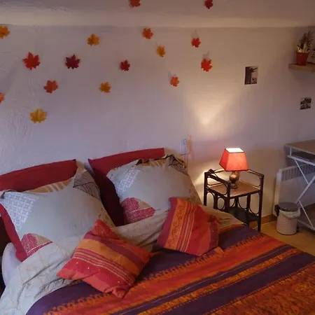 Maison D'hotes Le Galamus